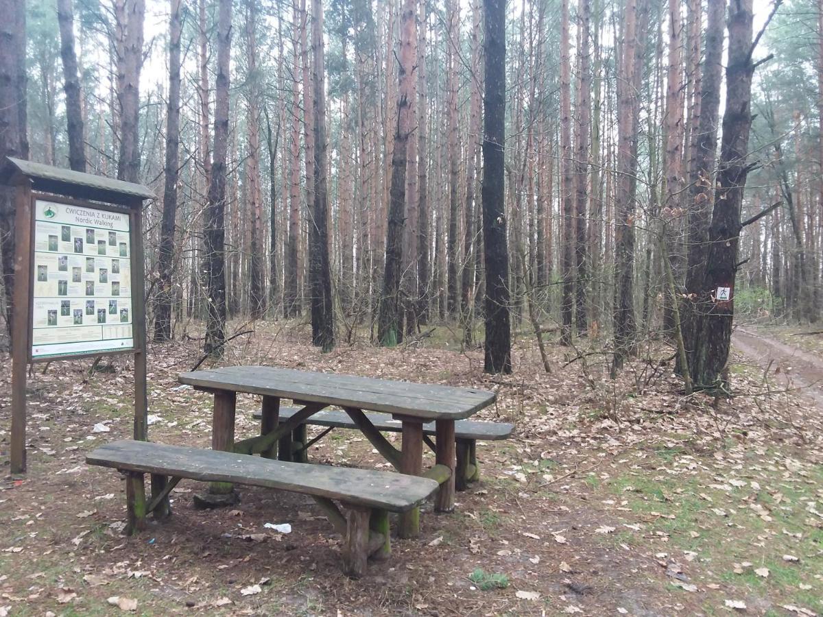 Dworek Akacja Uslugi Hotelarskie Janowiec Dış mekan fotoğraf