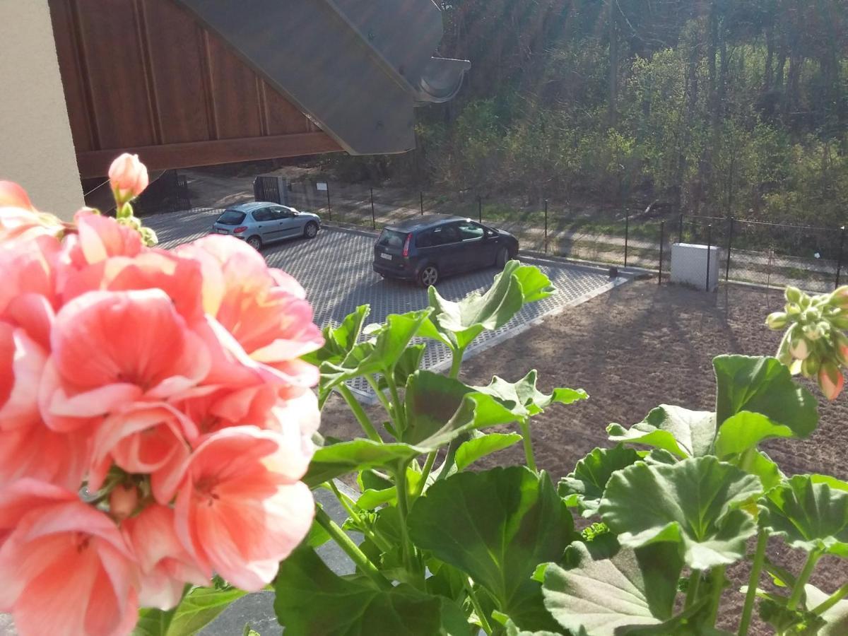 Dworek Akacja Uslugi Hotelarskie Janowiec Dış mekan fotoğraf