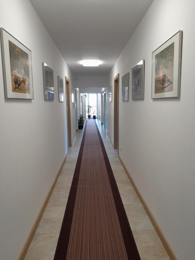 Dworek Akacja Uslugi Hotelarskie Janowiec Dış mekan fotoğraf